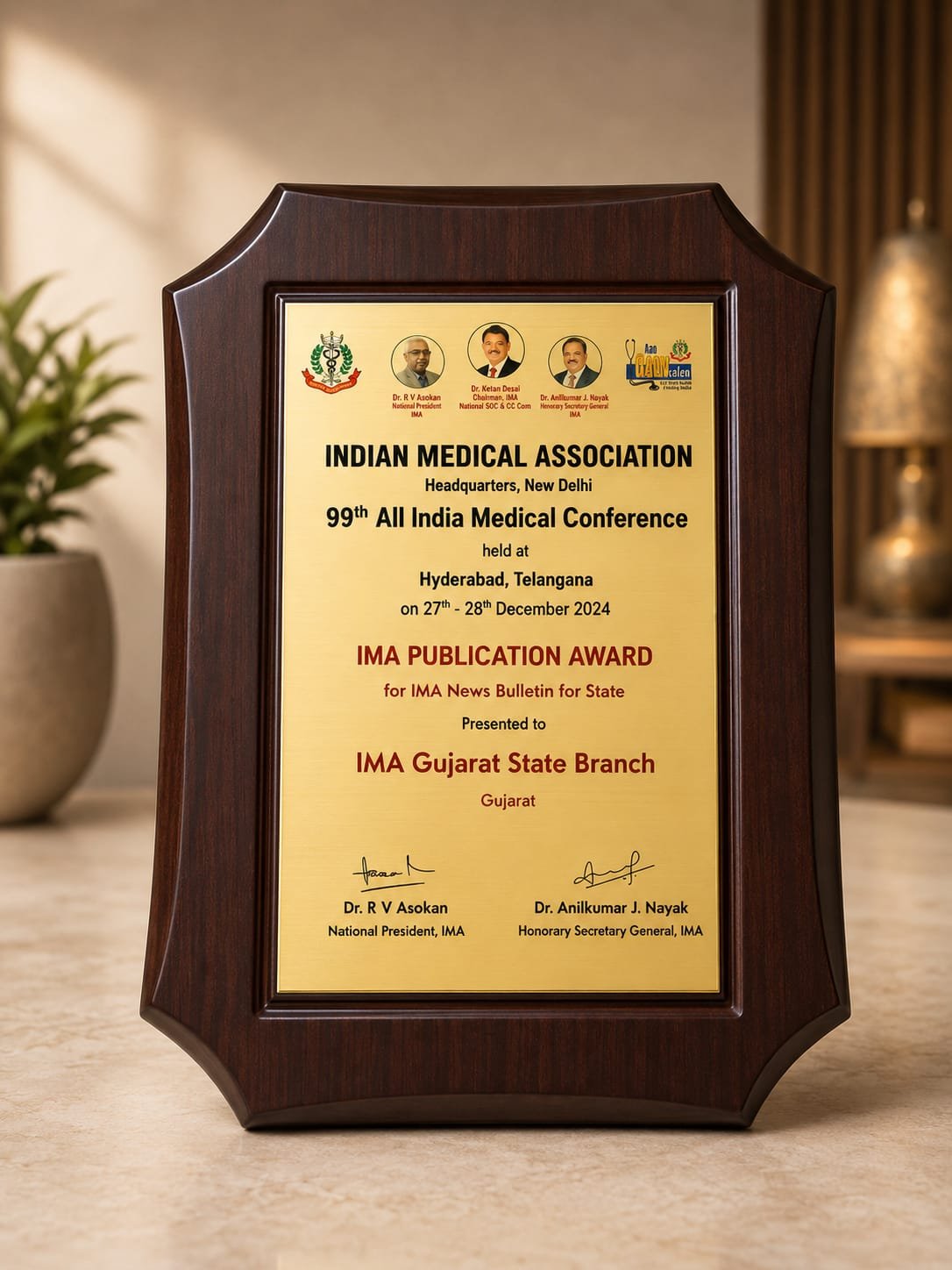 IMA Publication Award 2024